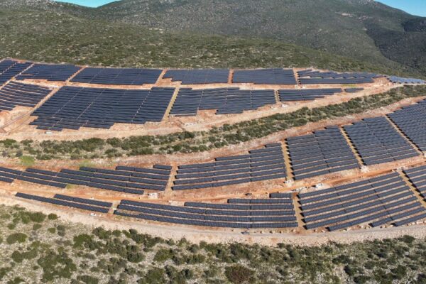 ΜΙΚΡ-ΦΩΤΟ3_Photo Credit Konstantinos Rallis